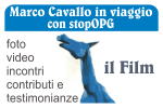 banner_web_cavallo